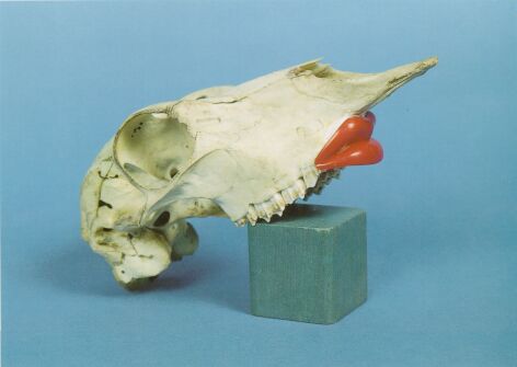 Good Morning Miss Smith